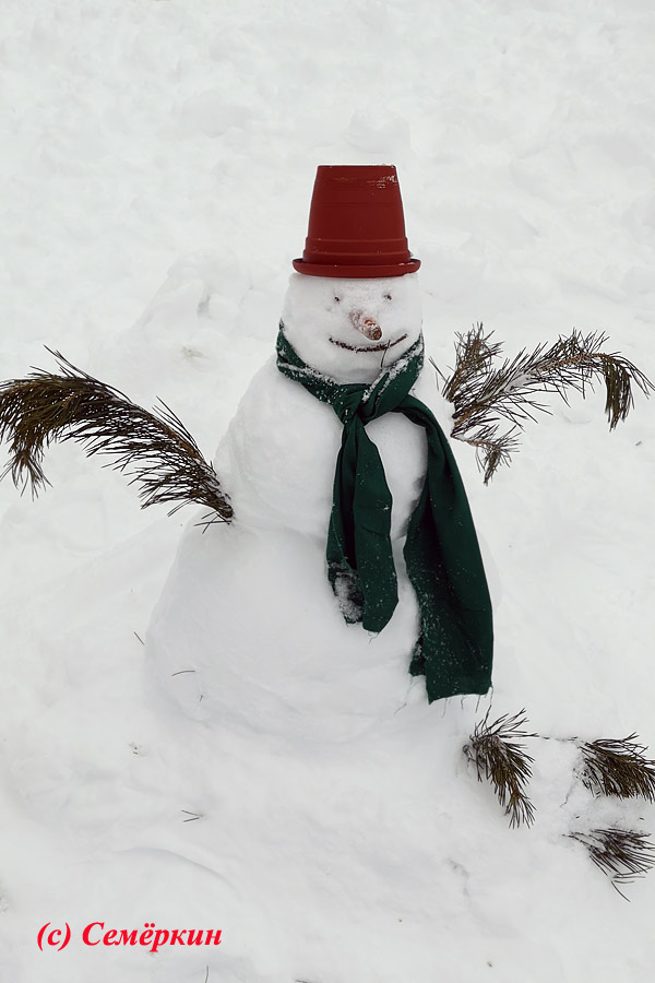 Фестиваль снеговиков в Горкинско-Ометьевском лесу Казани - Снеговик в галстуке