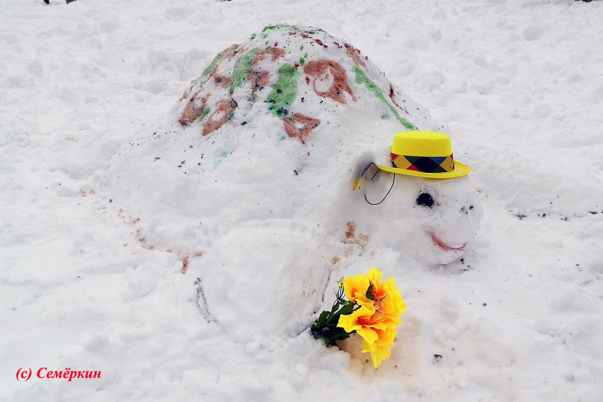 Фестиваль снеговиков в Горкинско-Ометьевском лесу Казани - Снеговик-черепаха