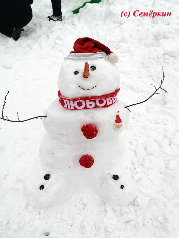 Фестиваль снеговиков в Горкинско-Ометьевском лесу Казани -  Снеговик с любовью