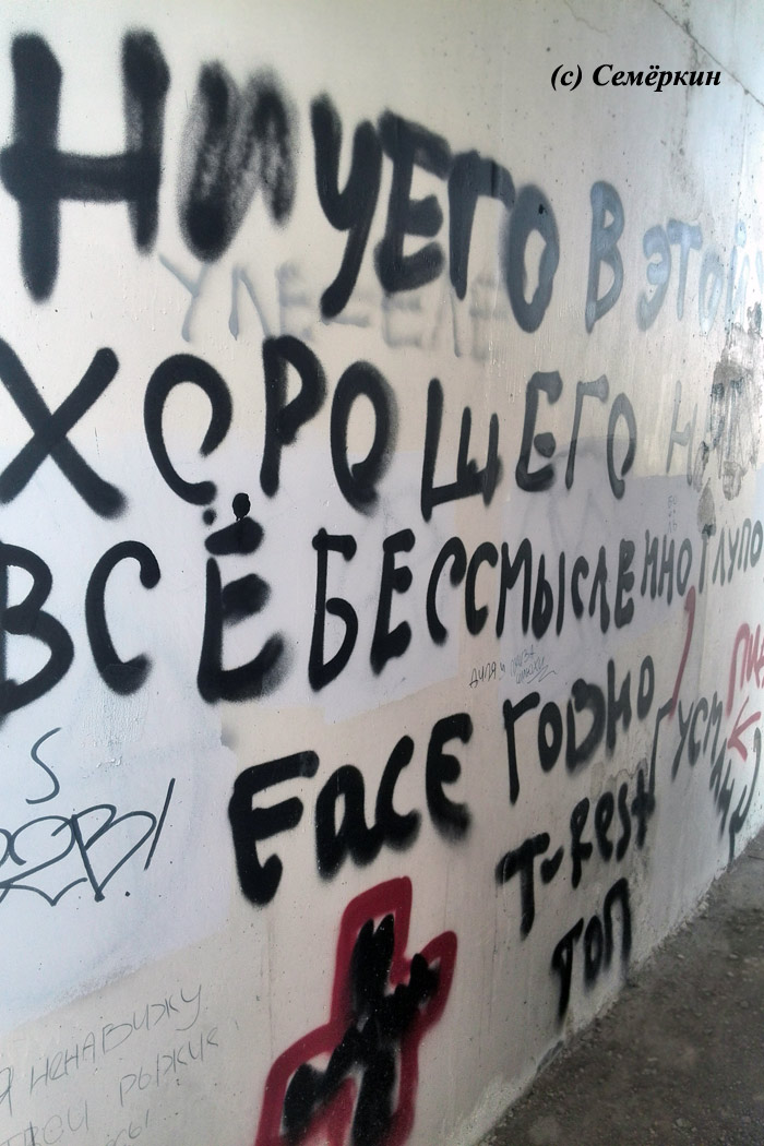 Графити под казанским мостом Миллениум - ясно