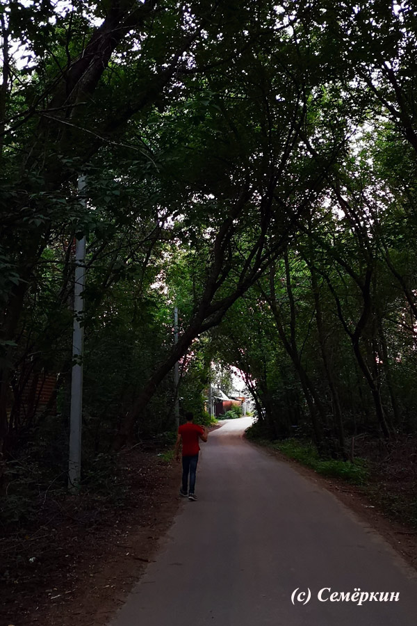 Отличное лето 2018 в Зелёном бору - Дорога в зелёном туннеле из крон деревьев обещает приключения…