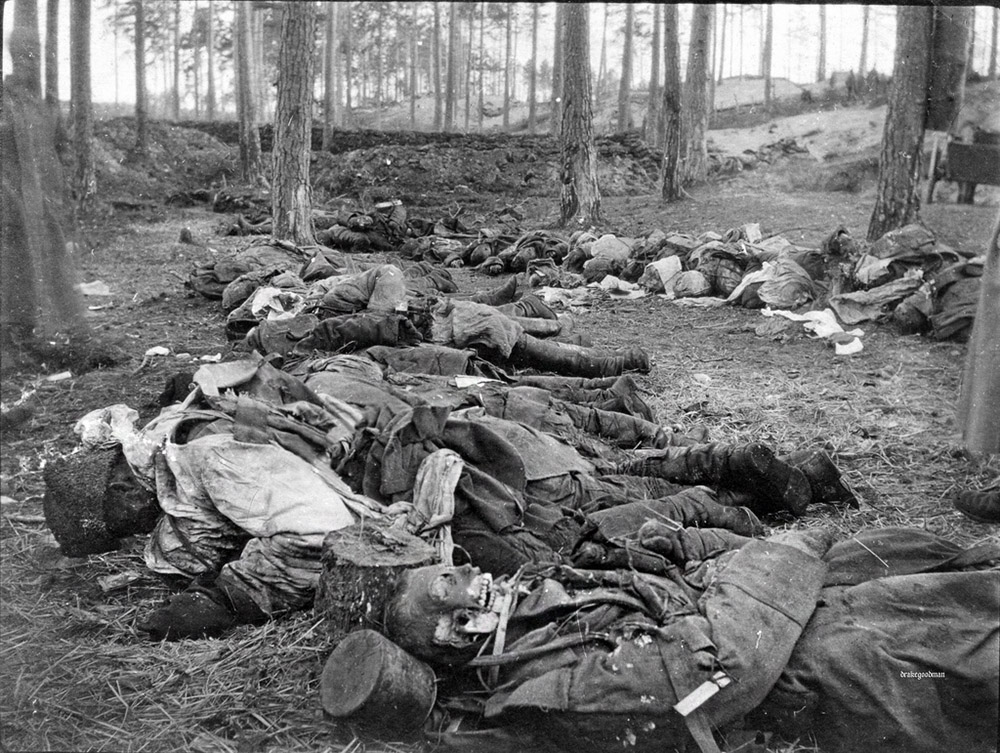 История России ХХ века - 1917 год - Убитые во время провала Июньского наступления