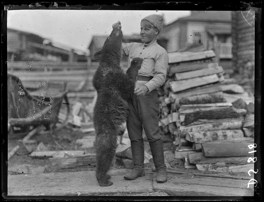 История России ХХ века  - 1919 год - Фотоальбом Общество защиты животных путешествует по России