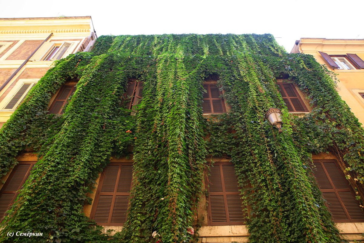 Рим - зелёный фасад