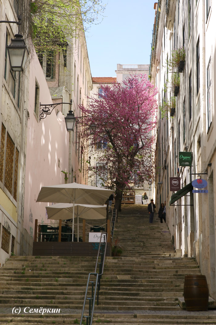, Lisboa -