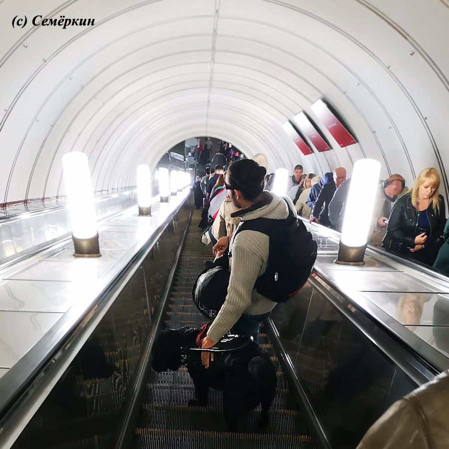Москва златоглавая - Часть 20. Дорогие мои москвичи – партия вторая - Слепой молодой человек и его собака поводырь на эскалаторе в метро
