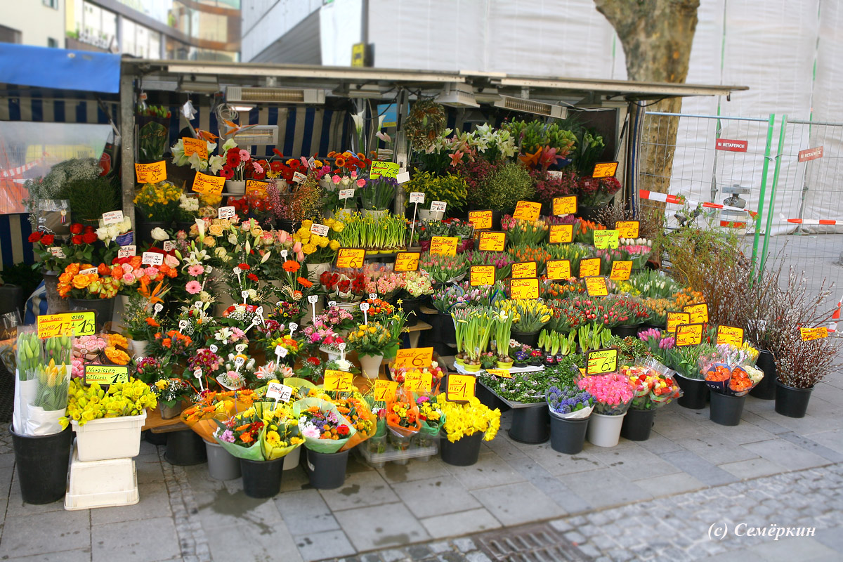 Мюнхен - цветочный магазин