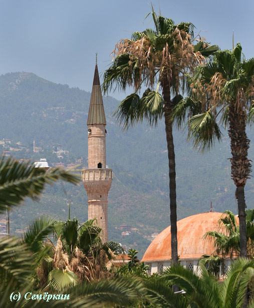 Алания - мечеть и пальмы
