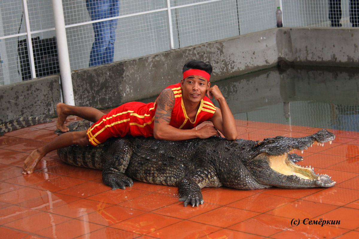 Заклинатель крокодилов