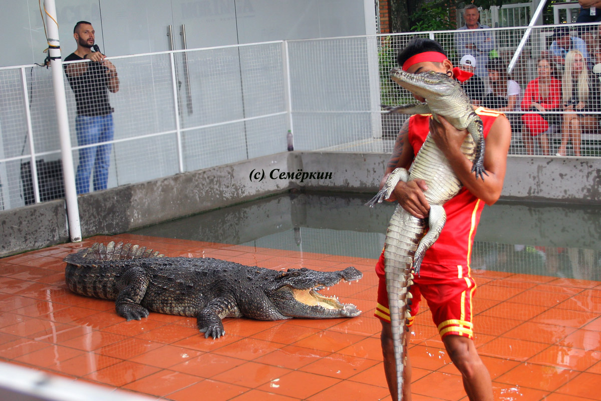 Заклинатель крокодилов